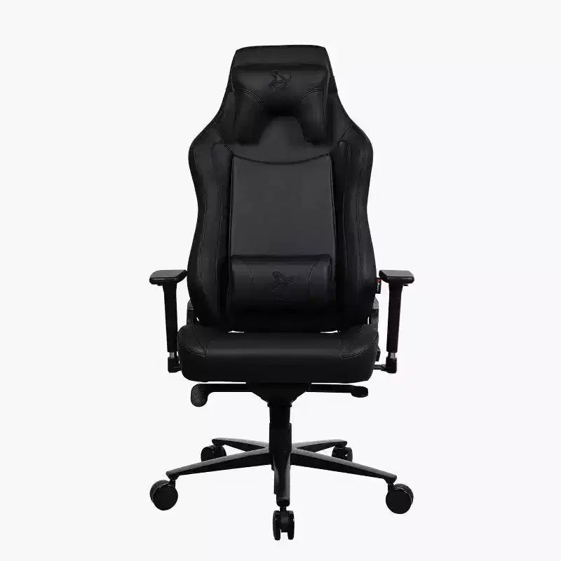 Ergonomic Office and Gaming Chair with Recliner Swivel Tilt Rocker Adjustable Height and Lumbar and Neck Support